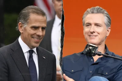 CNN panelist compares Hunter Biden, Gavin Newsom mash up to ‘weird Teenage Mutant Ninja Turtlesâ€™