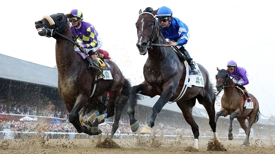 sovereignty-belmont-stakes-saratoga-fox-news-001