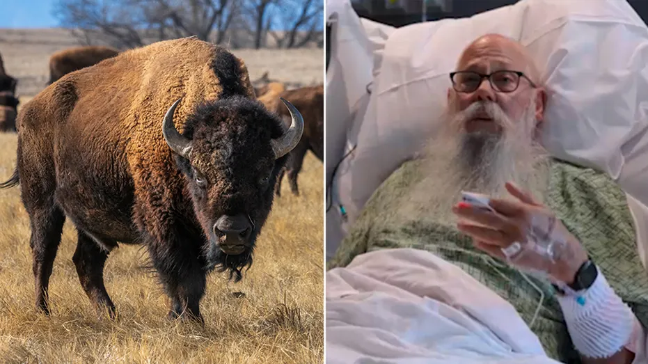carl-isom-mcdaniel-hospital-bison-attack