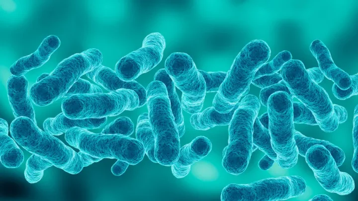 First death reported in Upper East Side Legionnaires’ disease outbreak as cases rise to 67
