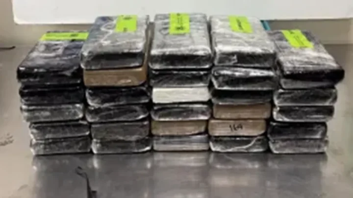 Border agents uncover $3.7M in cocaine masquerading as a cucumber delivery